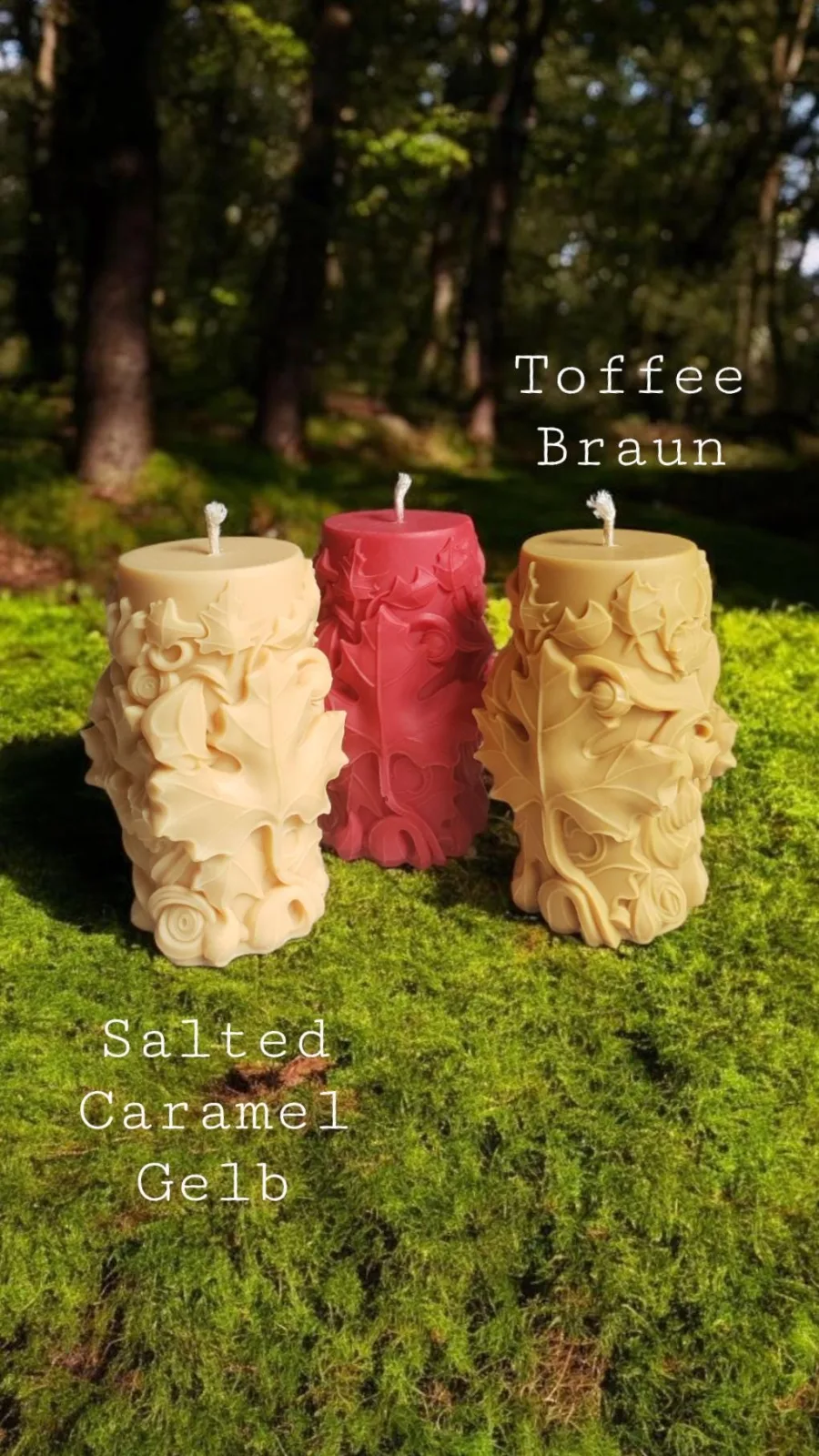 Blattkerze aus Rapswachs – moderne Herbstdeko | handgemacht & vegan | Geschenk für Frauen – Bild 3