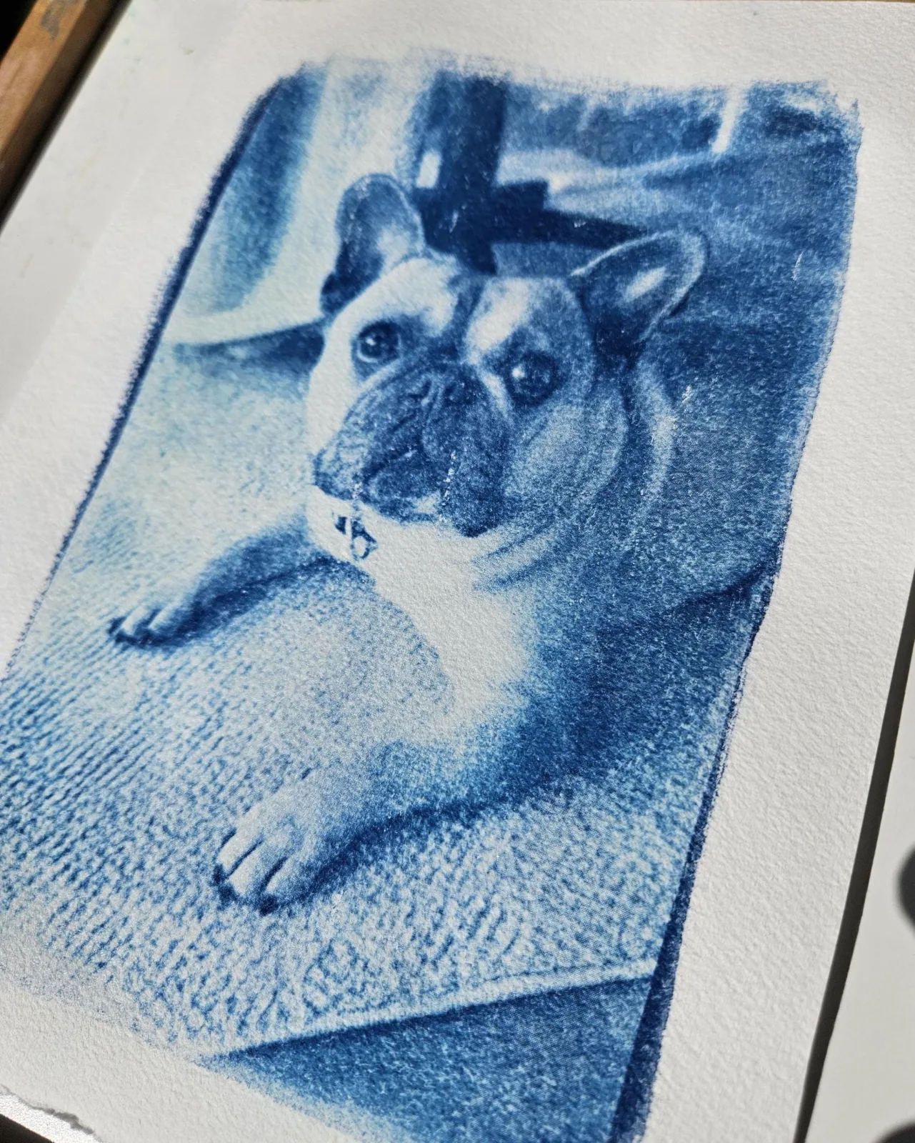 Handgemachte Cyanotypie vom eigenen Foto | Personalisiertes Blaudruck Geschenk | Custom Cyanotype Print | Fine Art Wandbild Unikat – Bild 4