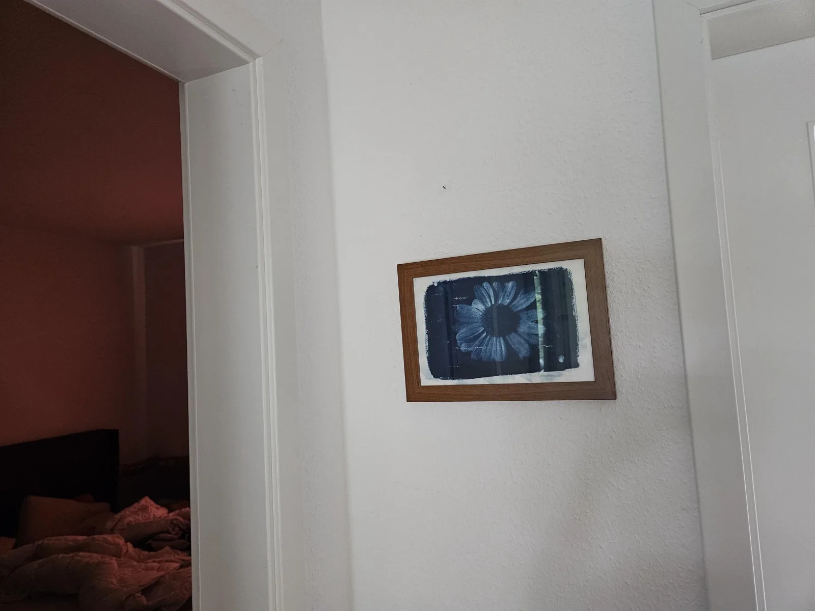 Cyanotypie Wandbild Gerahmt Sonnenblume – Botanischer Sonnendruck im Holzrahmen, Preußischblau Fotokunst Unikat, Geschenk für Naturfreunde – Bild 2