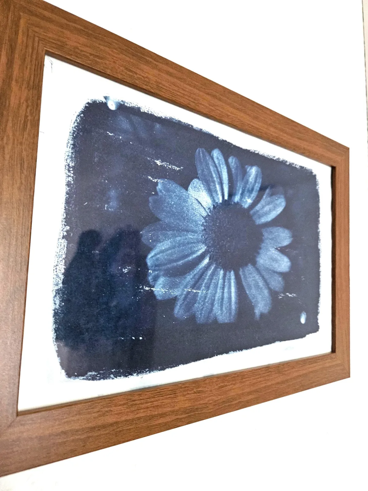 Cyanotypie Wandbild Gerahmt Sonnenblume – Botanischer Sonnendruck im Holzrahmen, Preußischblau Fotokunst Unikat, Geschenk für Naturfreunde