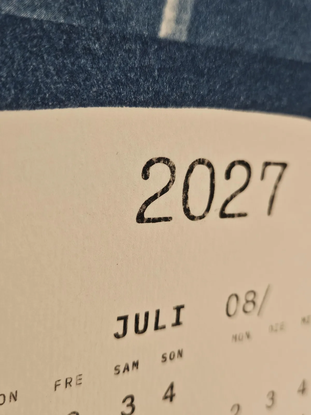 Cyanotypie Wandkalender 2027 Handgefertigt – Analoger Sonnendruck Unikat, Botanischer Kunstkalender A4, Posterleiste – Bild 3
