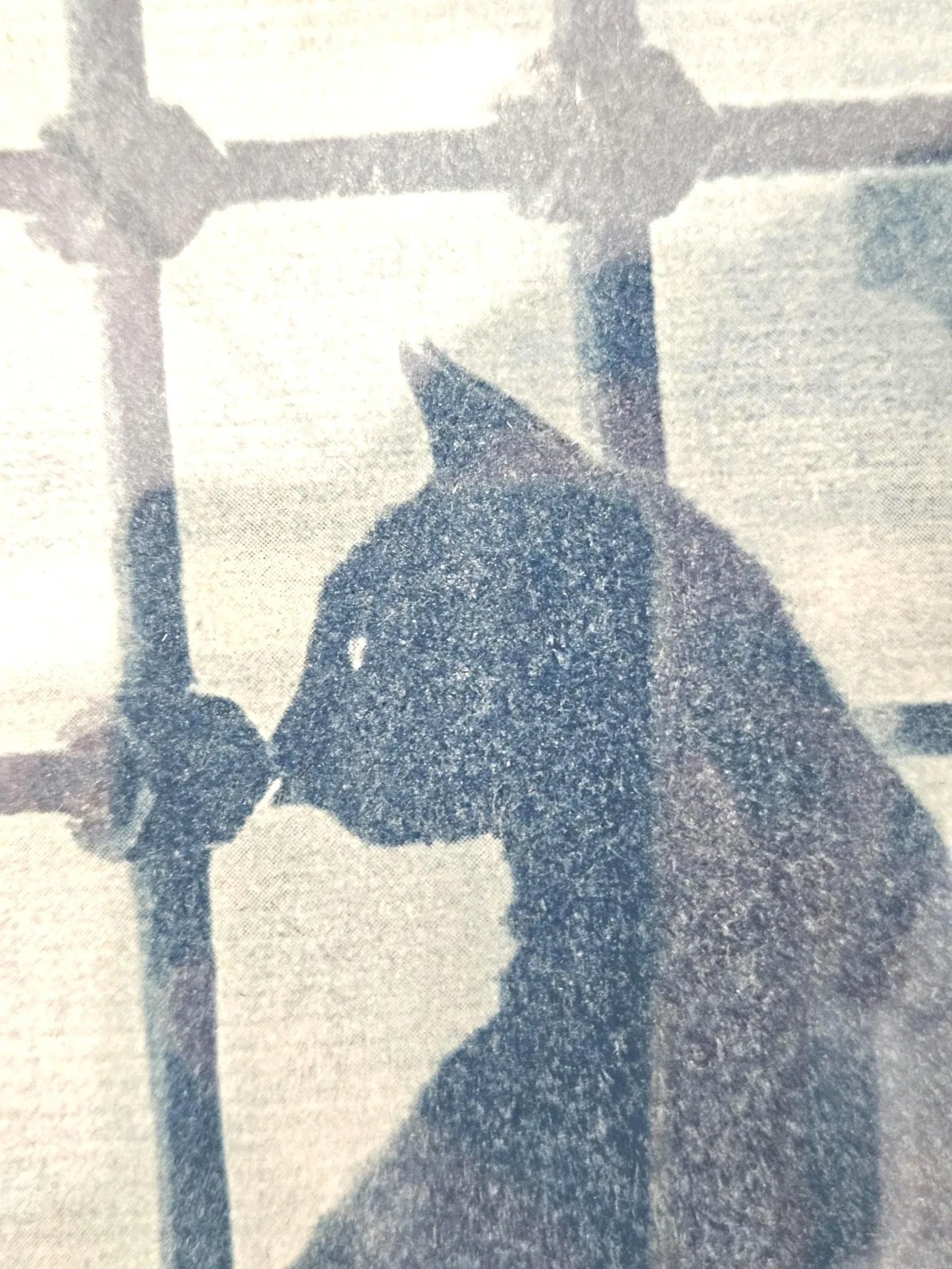 Cyanotypie Druck Der Kater – Handgemachter Katzen Sonnendruck, Preußischblau Wandbild Unikat, Geschenk für Katzen Liebhaber – Bild 2