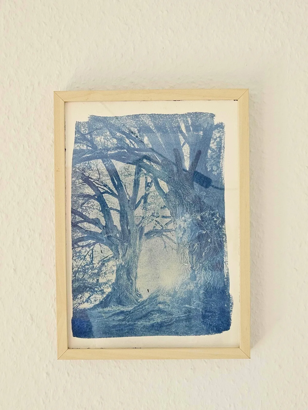 Cyanotypie Sonnendruck "Die Stille" - A4 Handgemachter Wandbild Nebelwald - Unikat Geschenk für Naturliebhaber