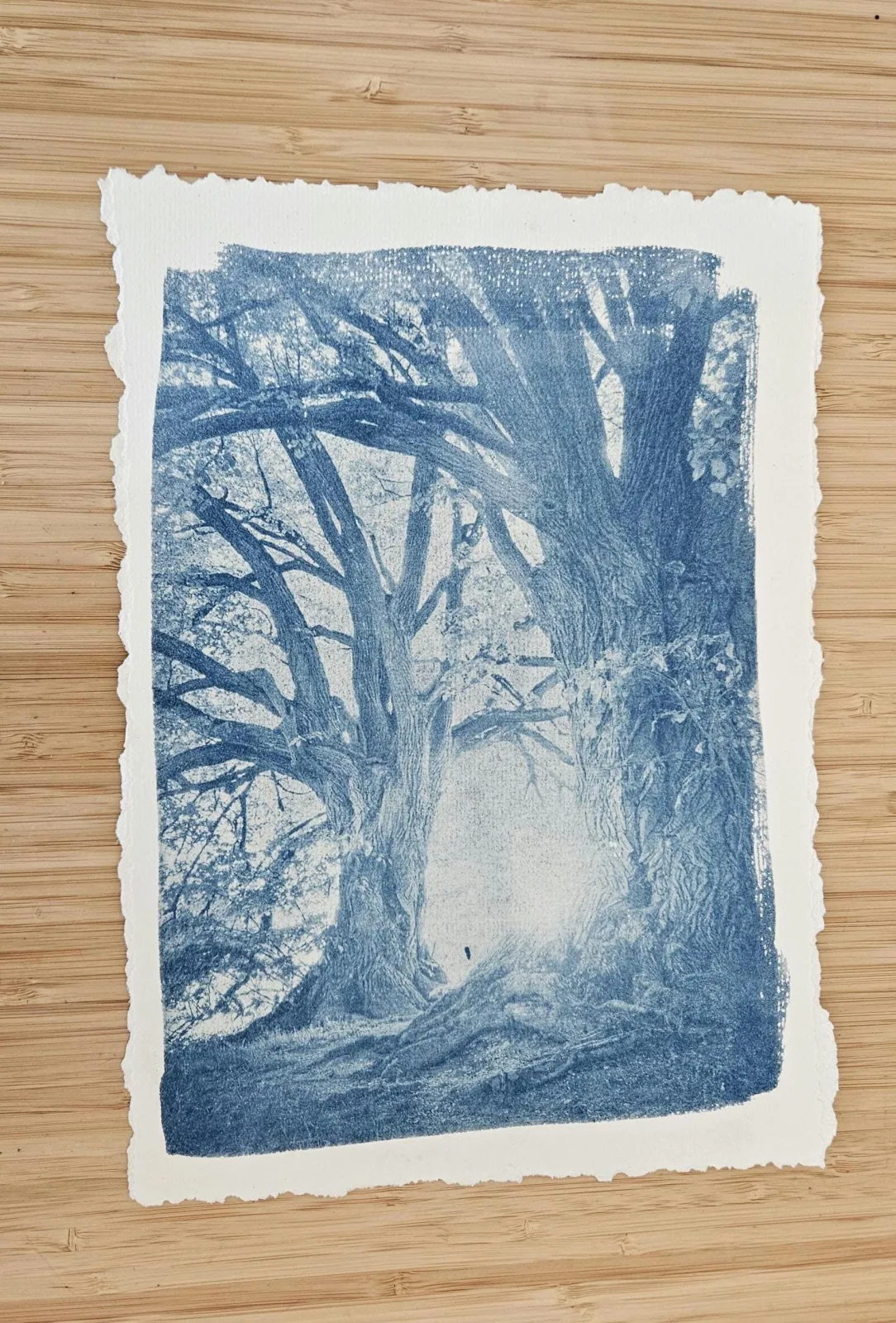 Cyanotypie Sonnendruck "Die Stille" - A4 Handgemachter Wandbild Nebelwald - Unikat Geschenk für Naturliebhaber – Bild 3