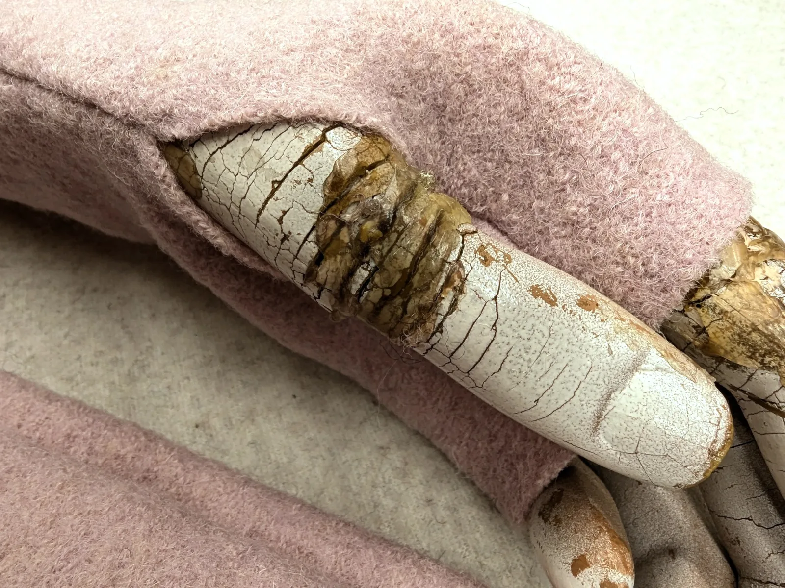 Schöne weiche warme Handschuhe aus bestem Wollwalk robust und wertvoll, italienische Kochwolle – Bild 3