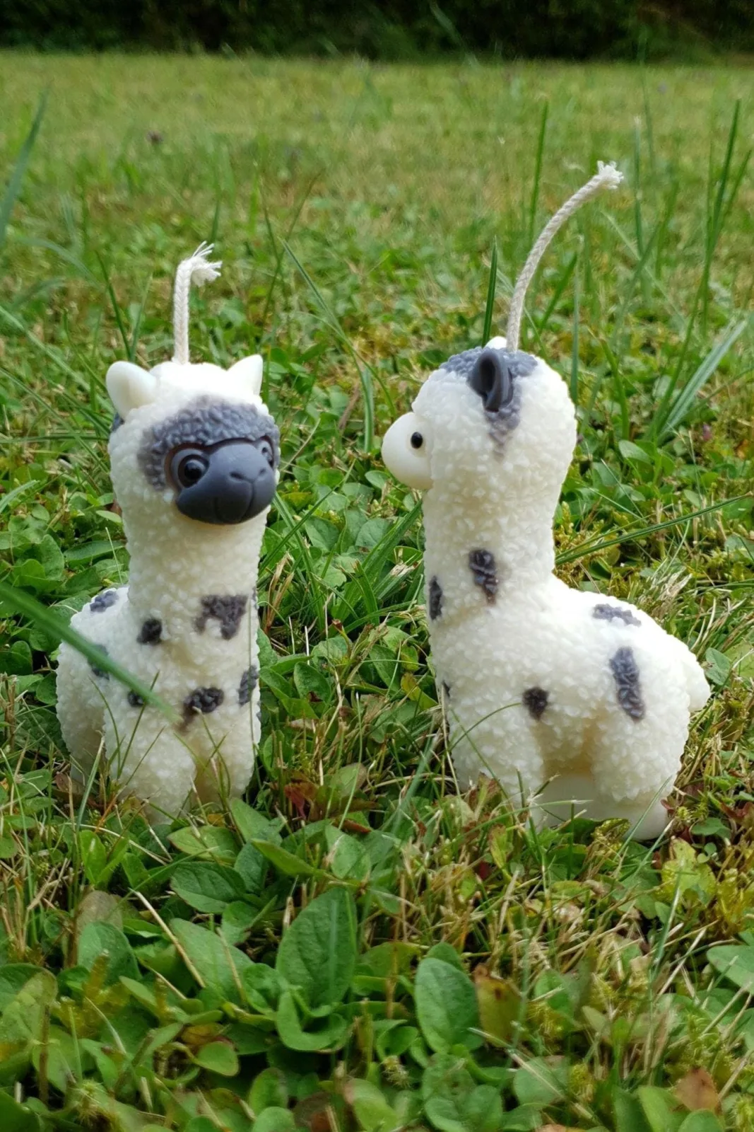 Alpaka Kerze aus Rapswachs – niedliche Tierkerze & Geschenkidee – Bild 3