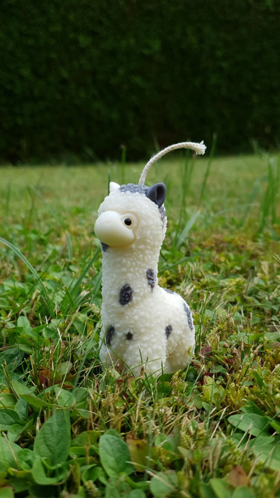 Alpaka Kerze aus Rapswachs – niedliche Tierkerze & Geschenkidee – Bild 5