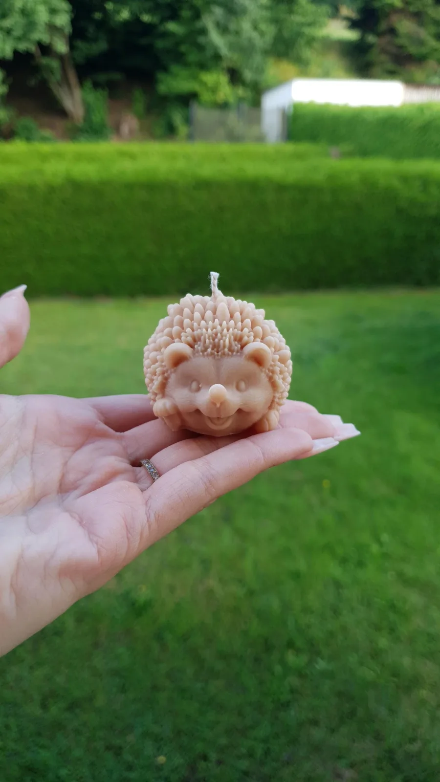 Igel Kerze aus Rapswachs – Tierkerze als Herbstdeko & Geschenkidee