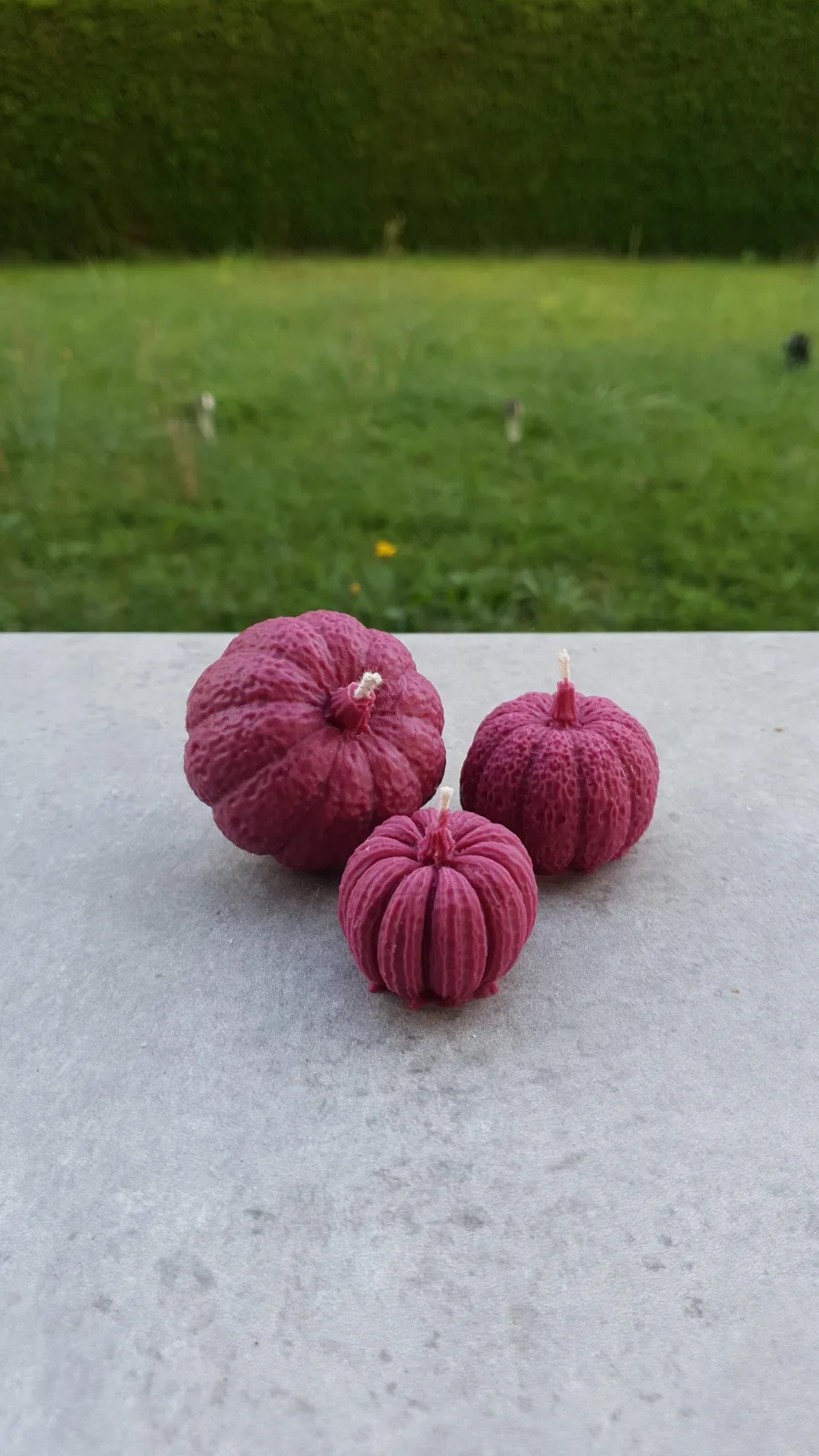 Kürbiskerzen 3er-Set aus Rapswachs – Herbstdeko & Tischdeko – Bild 3