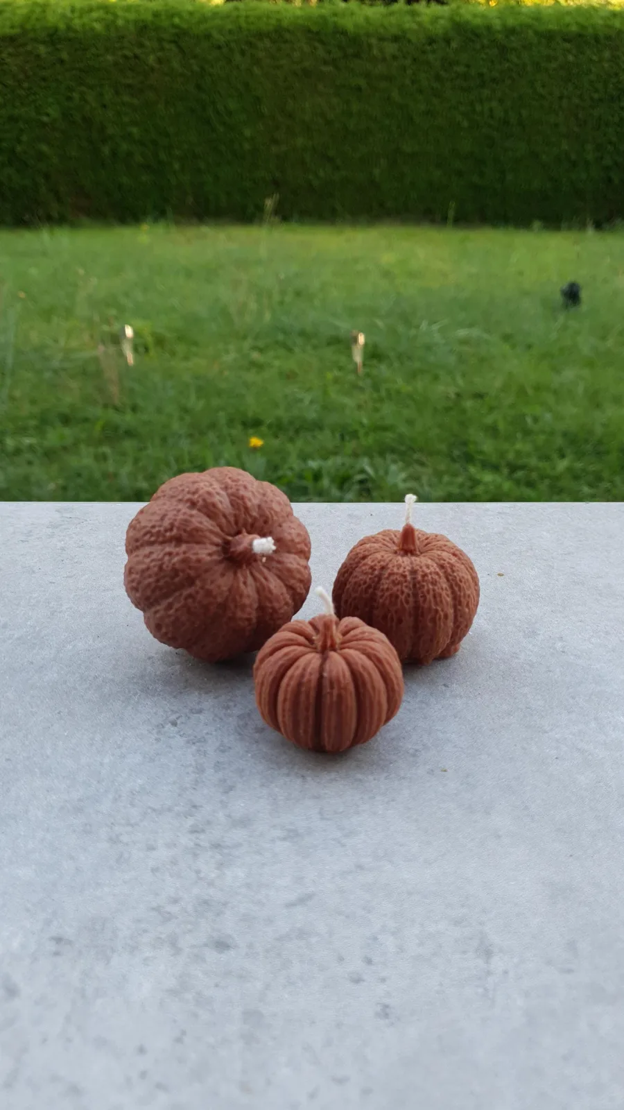 Kürbiskerzen 3er-Set aus Rapswachs – Herbstdeko & Tischdeko – Bild 9