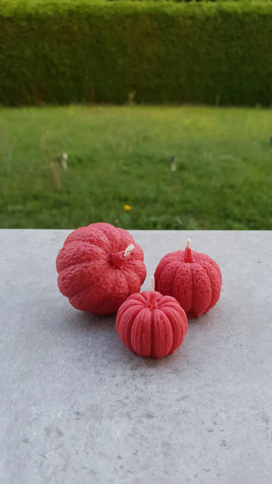 Kürbiskerzen 3er-Set aus Rapswachs – Herbstdeko & Tischdeko – Bild 6